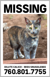 Lost Female Cat last seen Foothill Ave, Vista, CA 92084