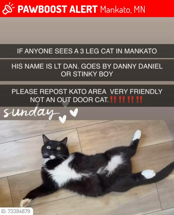 Lost Male Cat last seen Ramsey St, Mankato, MN 56001