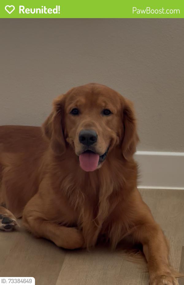Reunited Male Dog last seen Near & Harwood, Bedford, TX 76021