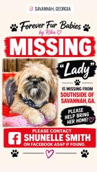 Lost Female Dog last seen White Bluff Rd., Savannah, GA 31419