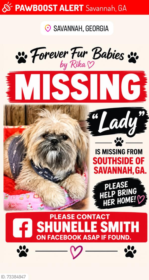 Lost Female Dog last seen White Bluff Rd., Savannah, GA 31419