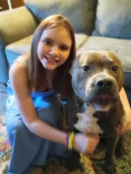 Lost Male Dog last seen Hwy71 and Hwy284, Abbeville, SC 29620