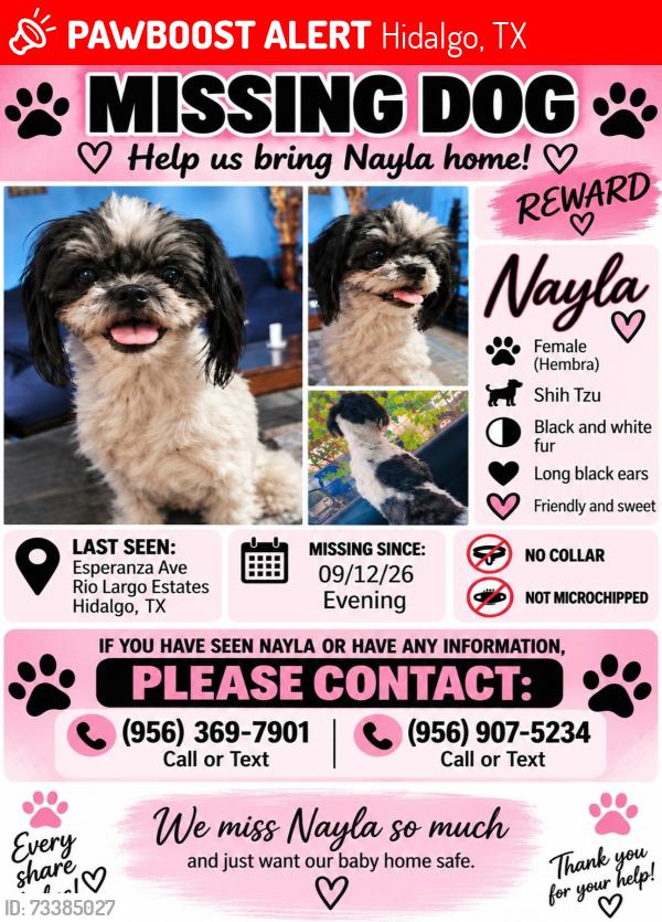 Lost Female Dog last seen Diaz Junior High, Hidalgo, TX 78557