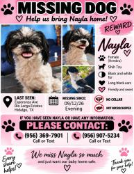 Lost Female Dog last seen Diaz Junior High, Hidalgo, TX 78557