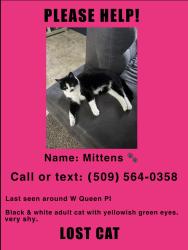 Lost Female Cat last seen W Queen PL, Spokane, WA 99205