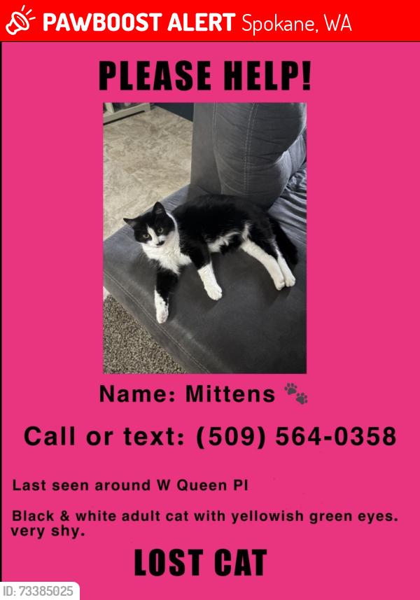 Lost Female Cat last seen W Queen PL, Spokane, WA 99205