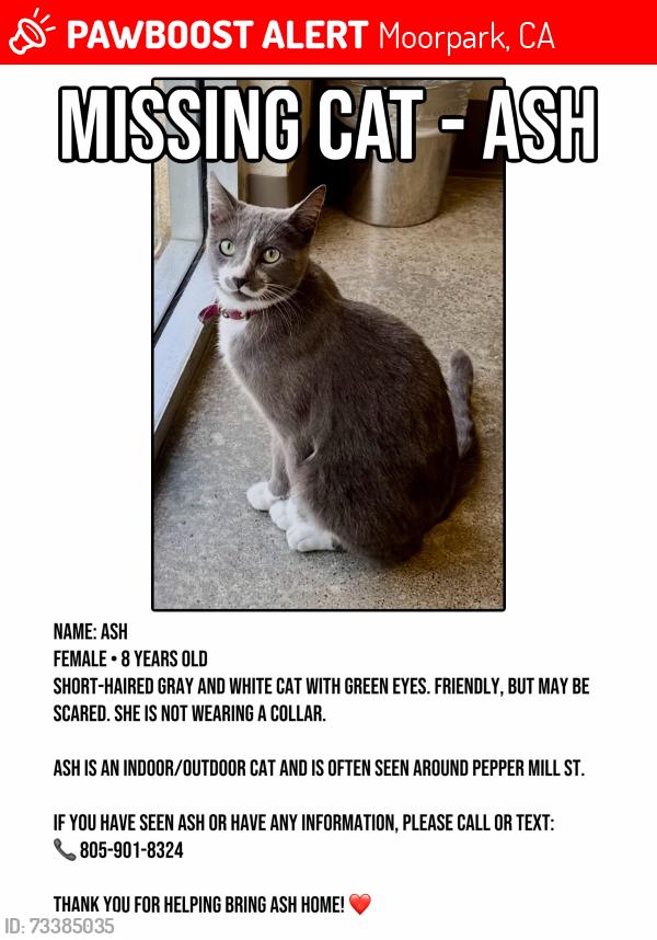Lost Female Cat last seen Pepper Mill St. & Clearcreek Ct, Moorpark, CA 93021