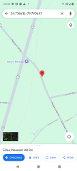 Found/Stray Female Dog last seen Btwn RR Tracks & Short Rd, Bennettsville, SC 29512
