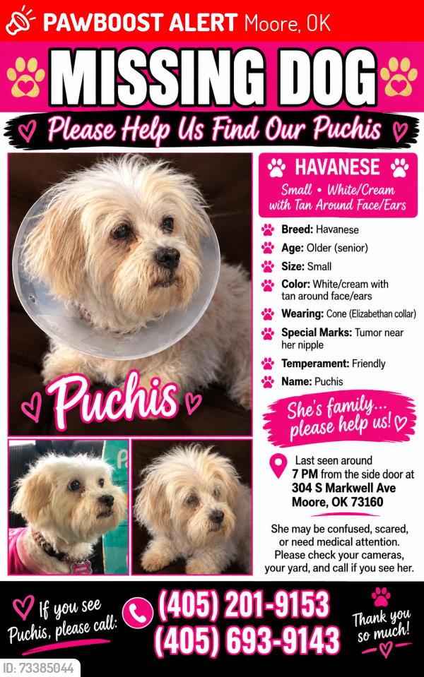 Lost Female Dog last seen Markwell and 3rd, Moore, OK 73160
