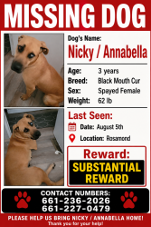 Lost Female Dog last seen Tara states Mobil home park, Rosamond, CA 93560