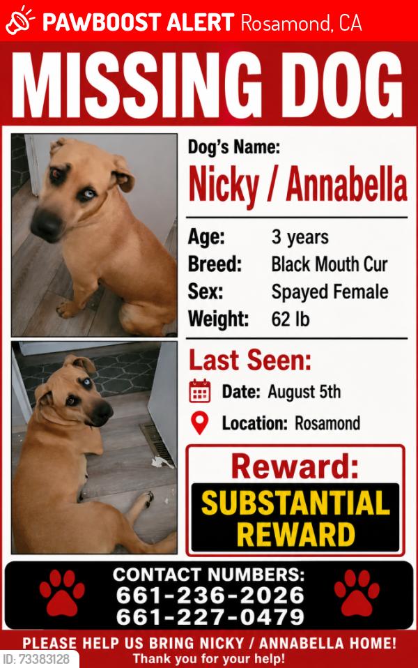 Lost Female Dog last seen Tara states Mobil home park, Rosamond, CA 93560