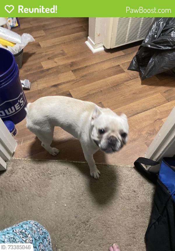 Reunited Male Dog last seen Near Bell St, Sacramento, CA 95825, USA, Sacramento, CA 95825