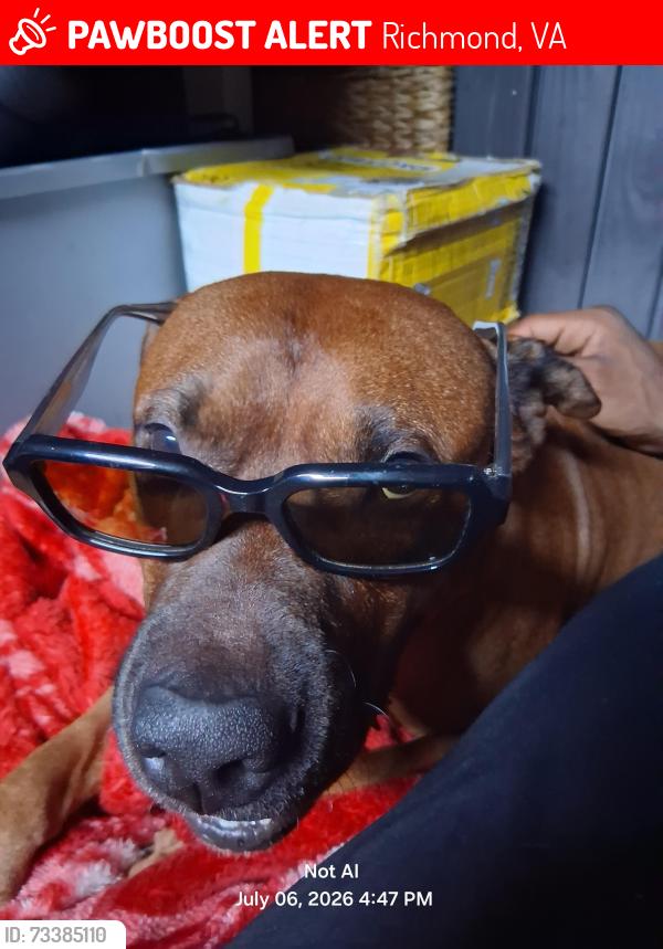 Lost Male Dog last seen Cloverleaf lake apmts, Richmond, VA 23225