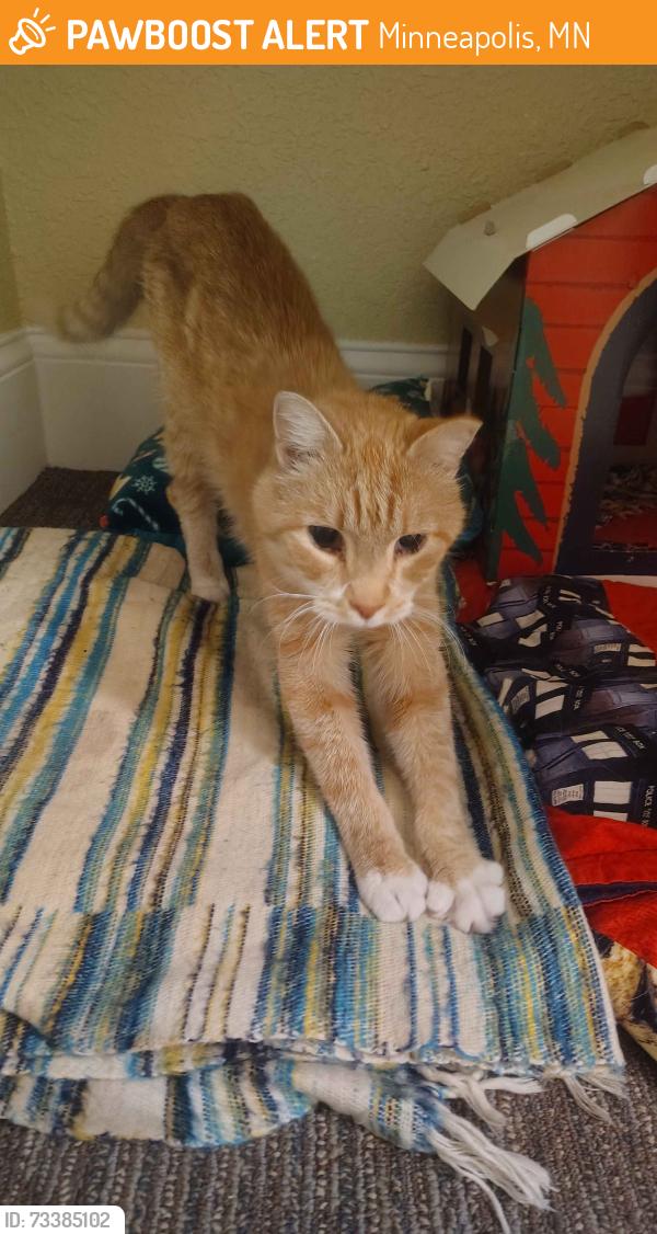 Found/Stray Male Cat last seen 4th St, near Broadway, Minneapolis, MN 55411