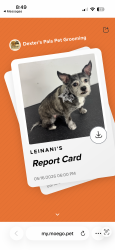 Lost Female Dog last seen Olivewood community, Beaumont, CA 92223