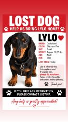 Lost Male Dog last seen Near N Azusa Ave La Puente, CA 91744 United States, West Covina, CA 91792