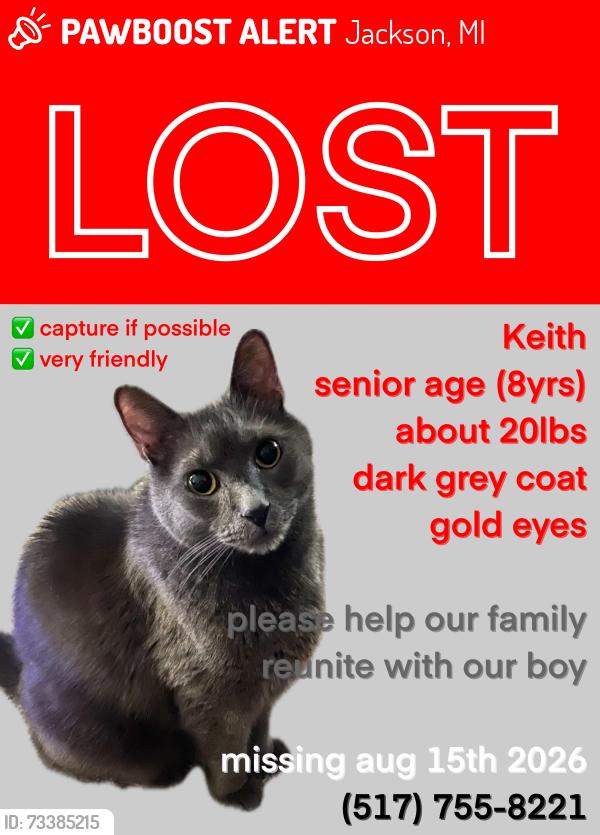 Lost Male Cat last seen Near Knollwood Avenue Jackson MI, Jackson, MI 49203