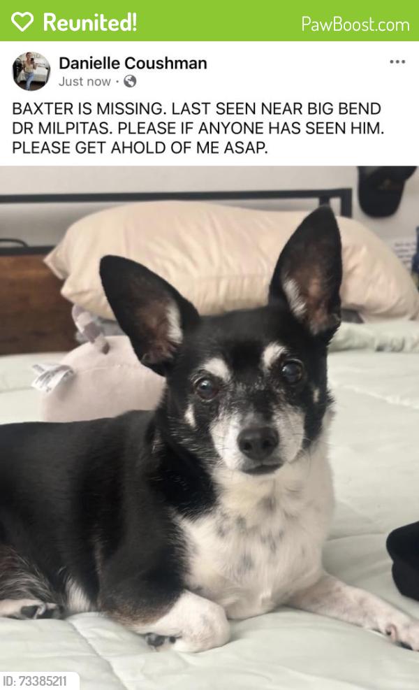 Reunited Male Dog last seen Yosemite & Yellowstone, Milpitas, CA 95035