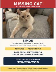 Lost Male Cat last seen North of Sibley State Park, New London, MN 56273