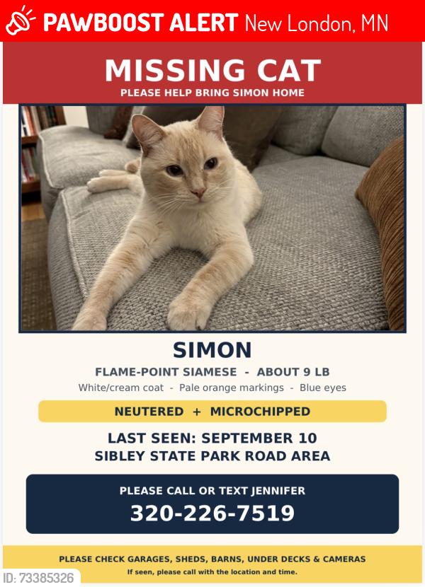 Lost Male Cat last seen North of Sibley State Park, New London, MN 56273