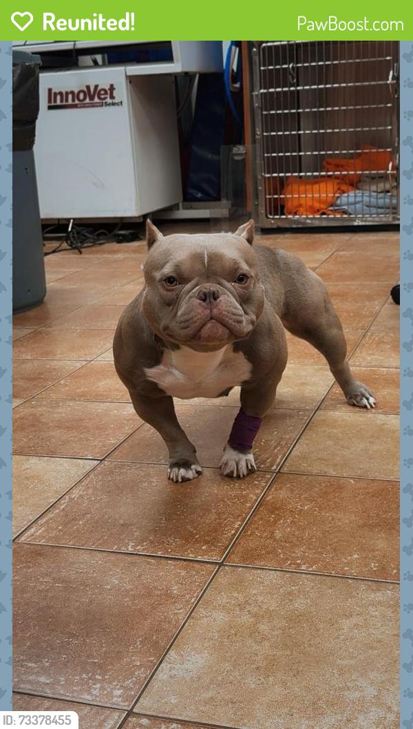 Reunited Female Dog last seen Park, Hanover Park, IL 60133