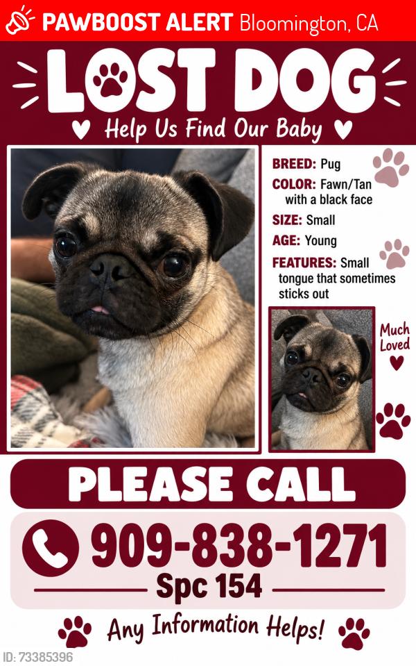 Lost Male Dog last seen Near cedar ave Bloomington ca 92316, Bloomington, CA 92316