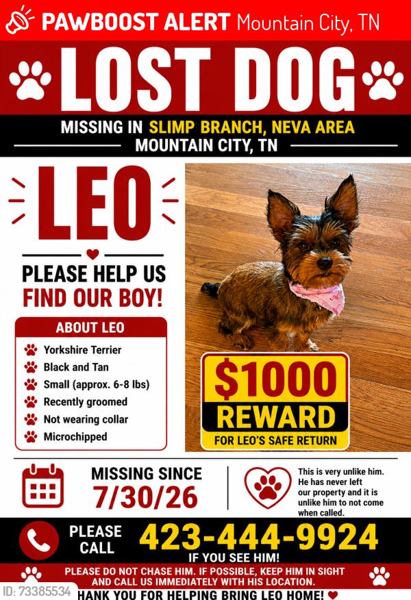 Lost Male Dog last seen Slemp branch, Mountain City, TN 37683
