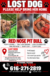 Lost Female Dog last seen Kalamazoo and Alexander Grand Rapids mi, Grand Rapids, MI 49506