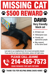 Lost Male Cat last seen Audelia and royal. Ln, Dallas, TX 75238