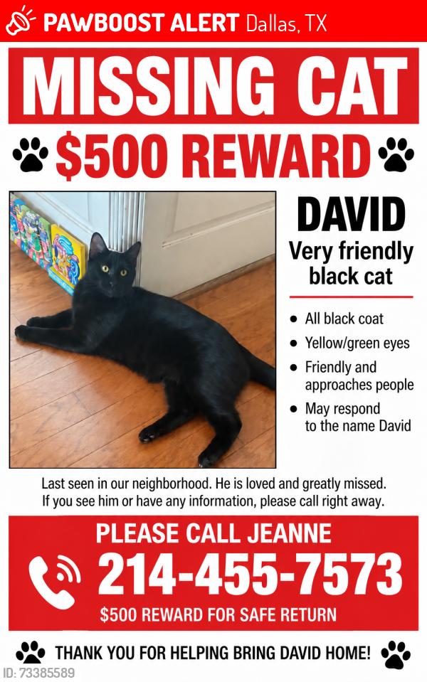 Lost Male Cat last seen Audelia and royal. Ln, Dallas, TX 75238