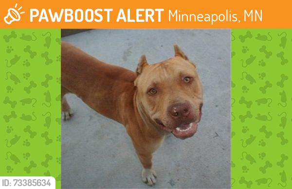 Found/Stray Male Dog last seen France Ave N, Minneapolis, MN 55429