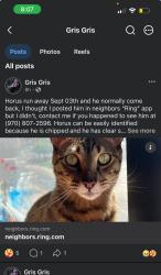Lost Male Cat last seen N/a, Golden, CO 80403