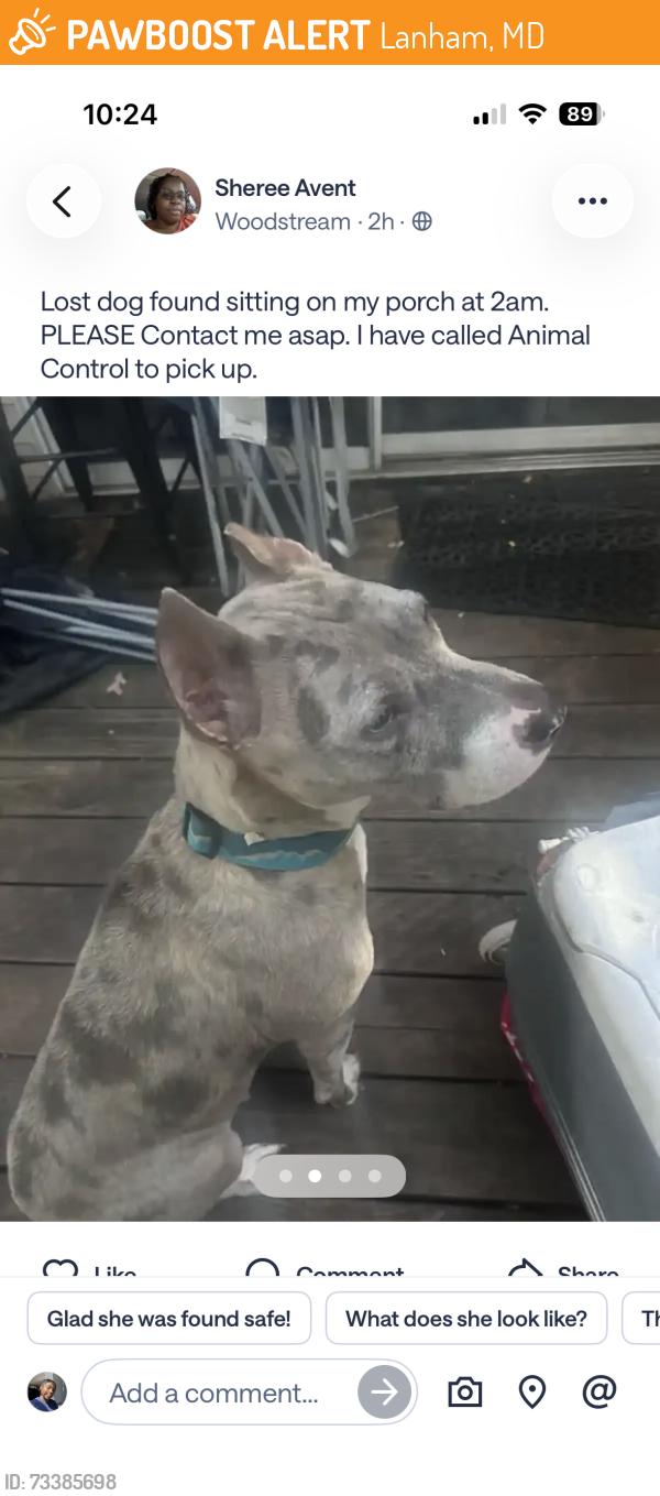 Found/Stray Female Dog last seen woodstream lane, Lanham, MD 20706