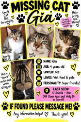 Lost Female Cat last seen Holly Dr, Everett, WA 98208