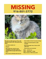 Lost Female Cat last seen D Street, Sacramento, CA 95814
