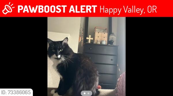 Lost Male Cat last seen Riverwalk apmts, Happy Valley, OR 97086