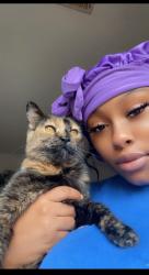 Lost Female Cat last seen Lamar and Dunn, Memphis, TN 38114