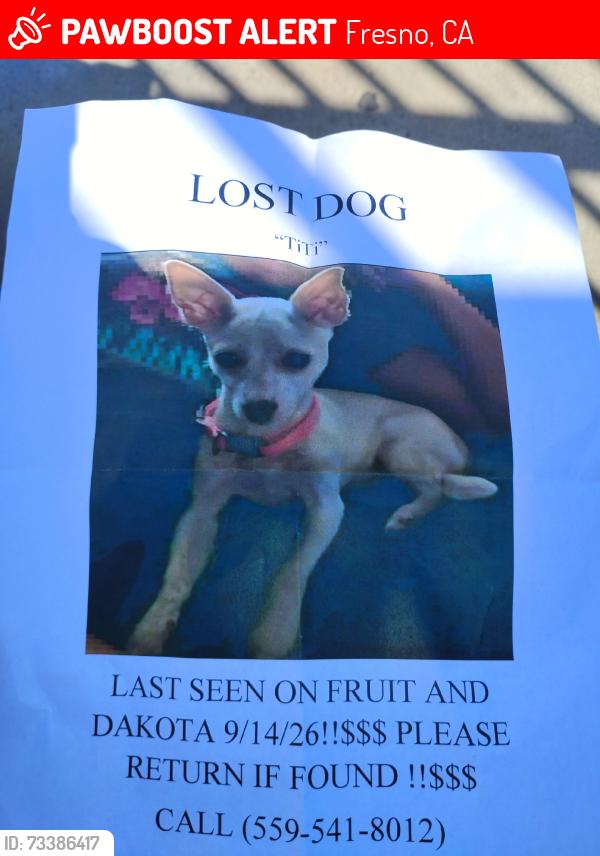 Lost Female Dog last seen Quigley Park, Fresno, CA 93705