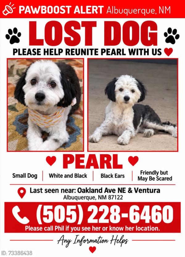 Lost Female Dog last seen Oakland and Ventura, Albuquerque, NM 87122