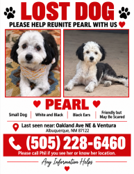 Lost Female Dog last seen Oakland and Ventura, Albuquerque, NM 87122