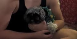 Lost Male Dog last seen Cherry foothill baseline point loma, Fontana, CA 92336