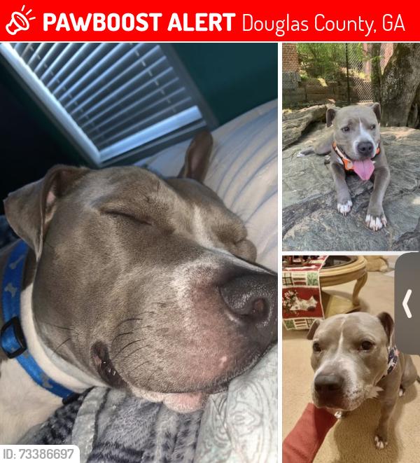 Lost Male Dog last seen Kings hwy, Douglas County, GA 30135