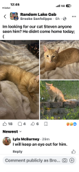 Reunited Male Cat last seen West lake dr random lake wi 53075, Random Lake, WI 53075