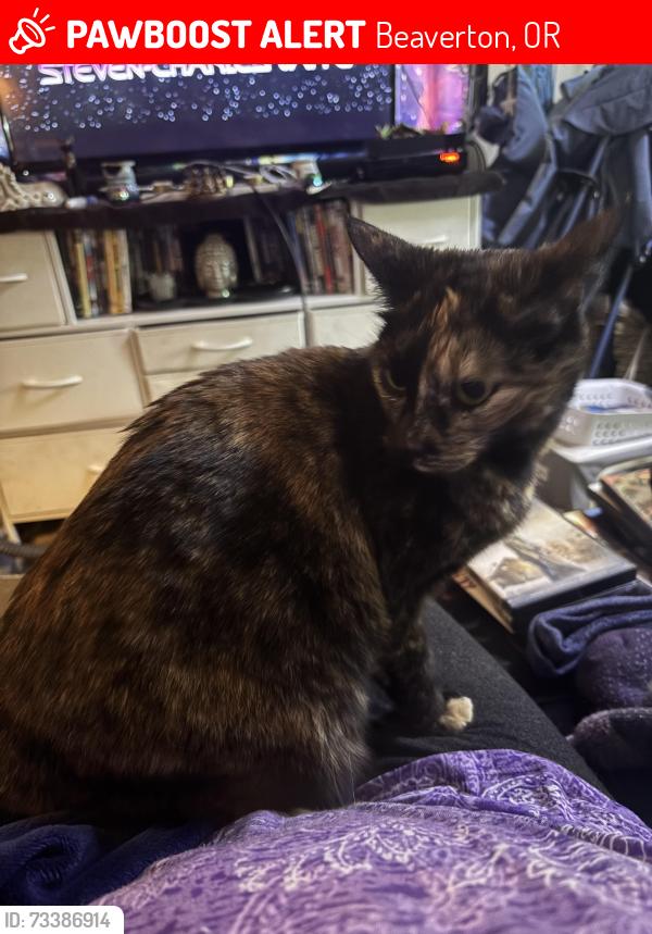 Lost Female Cat last seen Beaverton Park & Ride, Beaverton, OR 97006