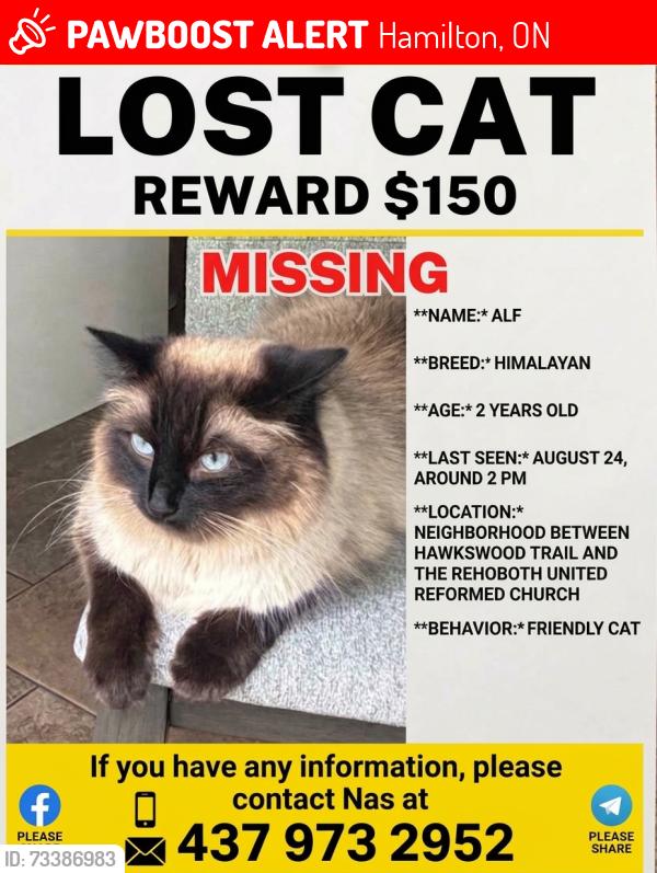 Lost Male Cat last seen Upper Paradise/ Rymal Rd W / Glancaster Rd, Hamilton, ON 