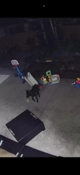 Lost Female Dog last seen Cuttin boulevard, Richmond, CA 94804