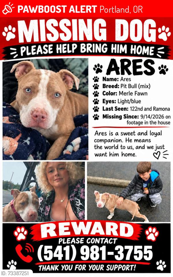 Lost Male Dog last seen Se 122nd, Portland, OR 97236
