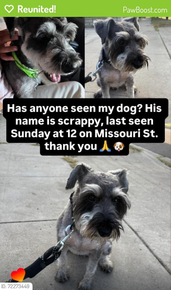 Reunited Male Dog last seen 3rd and chicago, Riverside, CA 92507