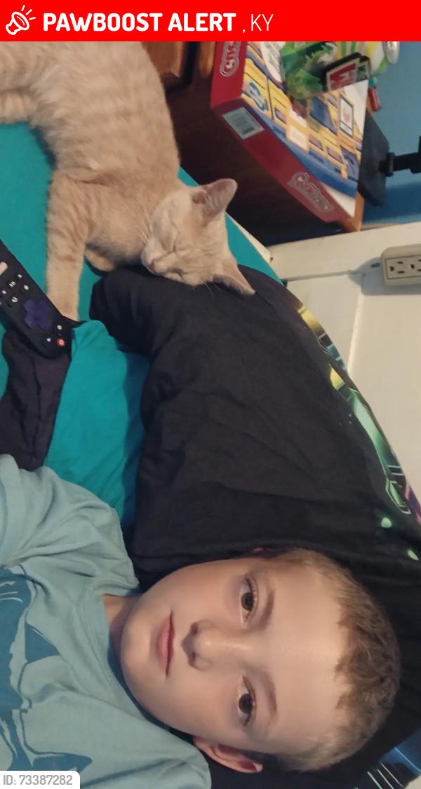 Lost Unknown Cat last seen Fog pipe, Richmond, KY 40475