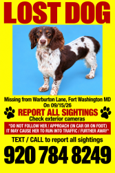 Reunited Female Dog last seen Old Fort Road, Fort Washington, MD 20744